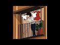 コイワズライ Aimer COVER コイワズライ Aimer COVER