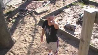 Fear Factor Parody Hd