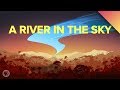 Amazon Rainforest and Its Impact on Weather