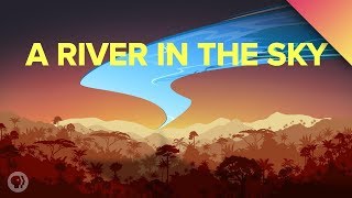 The Largest River On Earth Is In The Sky