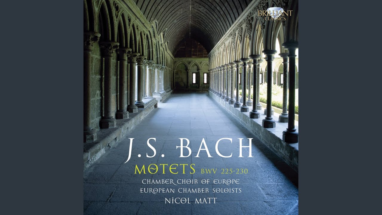 Lobet den Herrn, alle Heiden, BWV 230