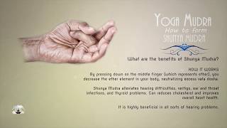 YOGA #MUDRA Gesture - How to form Shunya Mudra  #20/59 screenshot 3