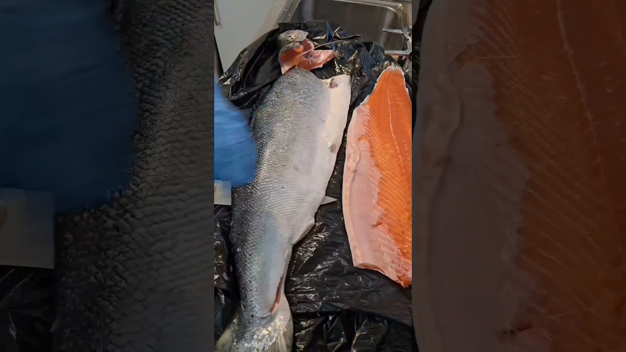 How to cleaning Salmon