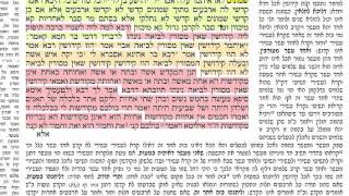 מסכת קידושין דף נ"א 51