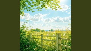 Gentle July
