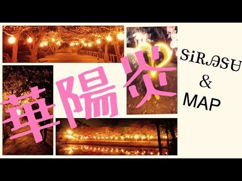 【30TP】今咲き乱れる桜の華【ヲタ芸】
