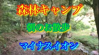 【キャンプ】【森林浴】朝のお散歩。森のキャンプ場の朝は素敵な光景でした。長距離トラック運転手の生活から少し離れるとこんなに素敵な景色見る事が出来ました^ ^