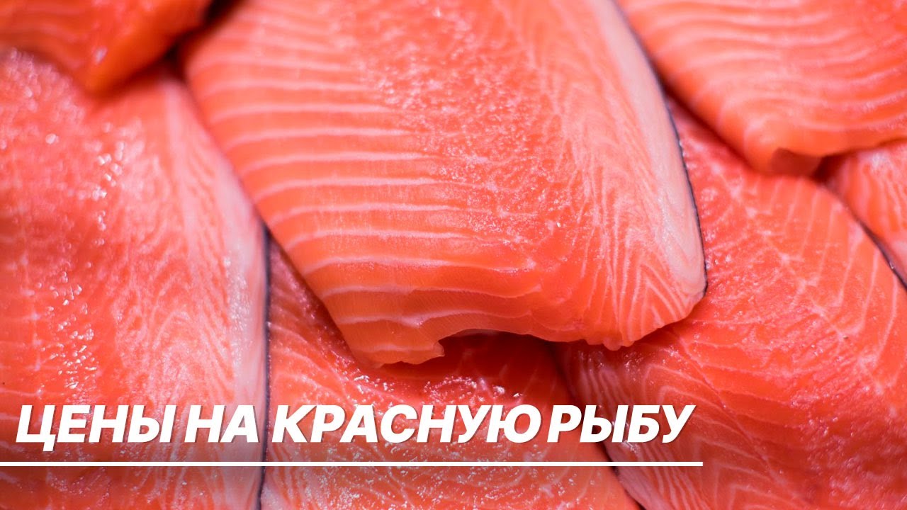 Рекордный вылов красной рыбы в России. Как это отразится на ценах в магазинах?