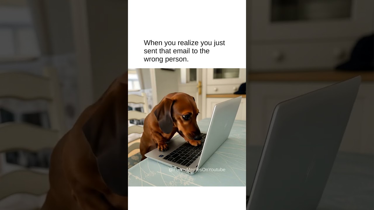 Me after googling my symptoms instead of consulting with a doctor first