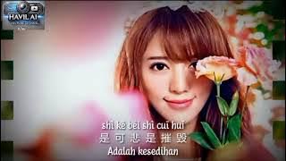 Ni Tau Ti Ai Sei 你到底爱谁 Kamu Sebenarnya Cinta Siapa #lagumandarin  #musikmandarin #musikasia