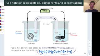 Celebrity Cell Notation | OpenStax Chemistry 2e 17.2 Profile