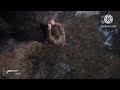 The uncharted 4 'A thiefs End' - The grave of Henry avery#demodog #ps5 #gaming #uncharted #action 