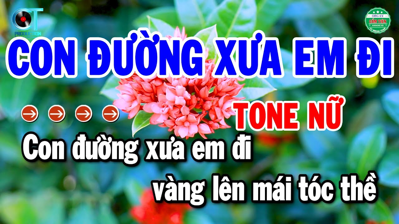 Karaoke Con Đường Xưa Em Đi Tone Nữ Nhạc Sống Beat Chuẩn Nhất | Cẩm Tiên Organ