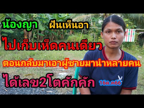 ผลสลากกินแบ่งรัฐบาล วันที่ 1 พย. 2567