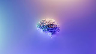 Lunch Hour Lecture | How do our brains learn languages?