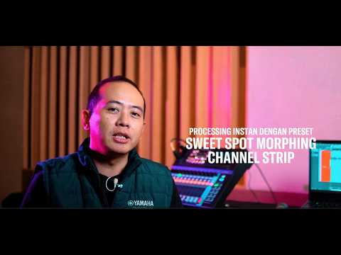 MGX ESSENTIALS – EPISODE 5 | SWEET SPOT MORPHING CHANNEL STRIP