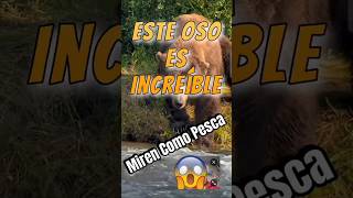 REACCIONANDO a los VIDEOS MÁS VIRALES de INTERNET 🔥TikTok, Funny Videos y Momentos Graciosos #shorts