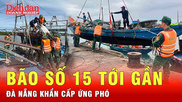 Tin bão khẩn: Đà Nẵng siết chặt an toàn tàu thuyền, hồ chứa trước bão số 15 |  Tin tức 24h