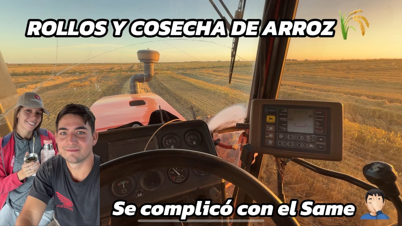 ROLLOS de ARROZ con el SAME en la ARROCERA con BARRO, se COMPLICO 🤦🏻‍♂️