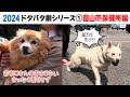 2024狂犬病予防注射会場のドタバタ劇① 富山市保健所編