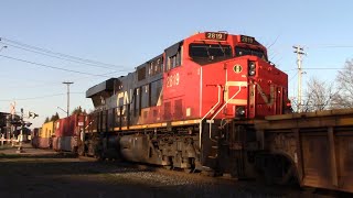 Very Long Stack Train CN 120 w/Forward Facing DPU Passing thru Downtown Moncton, NB