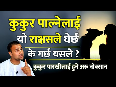 कुकुर पाल्नेको घरमा यस्तो राक्षस घुम्ने गर्छ|के गर्छ त्यसले?कुकुर पारखीहरुलाई यी यी कुरामा हानी