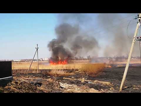 Выжигание сухой растительности