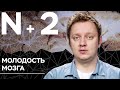 Андрей Коняев объясняет, почему мозг матерей молодеет // N+2