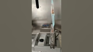 Vertical Back Seal Granule Packaging Machine 5-500g Sachet Melon Seeds Packaging Machine #machine