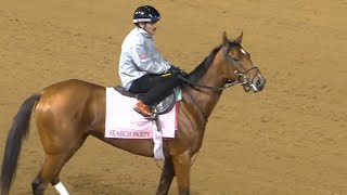 How Kentucky Derby horses are named