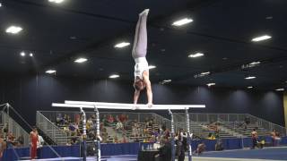 Michael Burns - Parallel Bars - 2017 Winter Cup Prelims