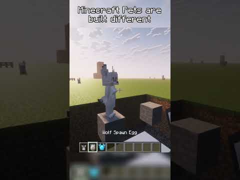 Minecraft Pets are special! #minecraft