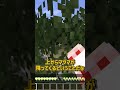 背後から溶岩が沸く世界で鉄ツルハシクラフトチャレンジ【マイクラ】 #shorts