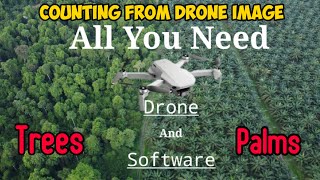 Counting Palm Stand / Trees From Drone Picture & DotDotGoose Software screenshot 4