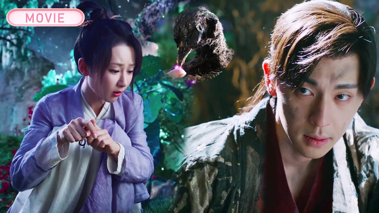 【MOVIE】女孩好心救下一隻小鳥，沒想到他竟是天帝之子，命運從此改變！