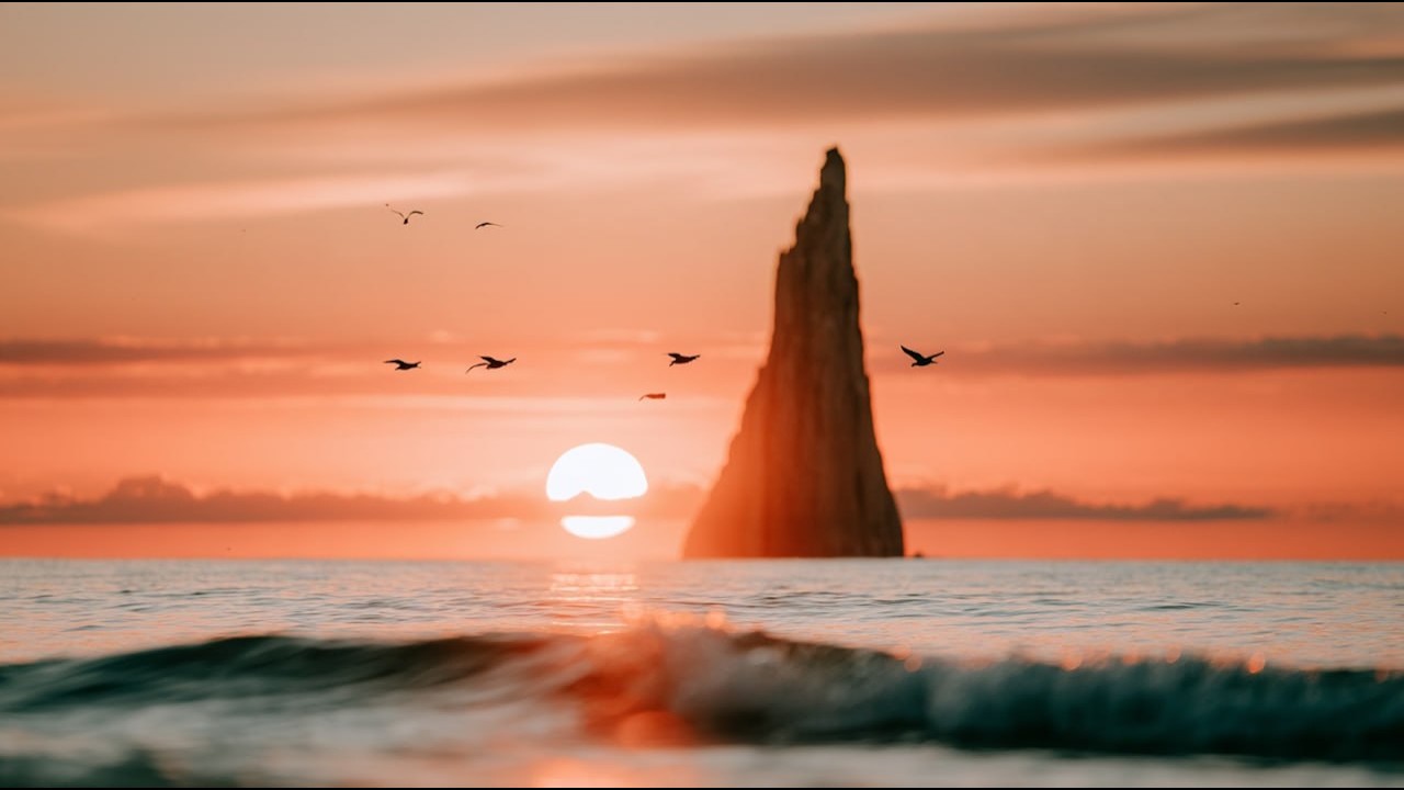 YouTube에서 Hamex - Hola Coco (Official Music Video) 보기 YouTube에서 Hamex - Hola Coco (Official Music Video) 보기