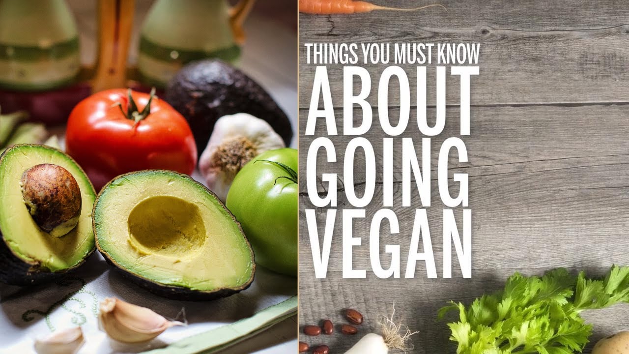 Things you need to know before going vegan- Ryan Fernando - YouTube