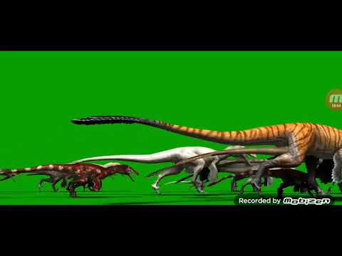 Raptor running green screen - YouTube