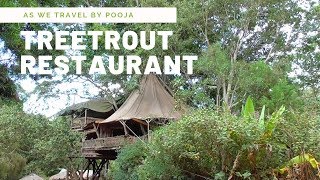 Treetrout Farm and restaurant Nanyuki Kenya travel vlog
