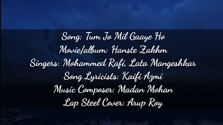 Tum Jo Mil Gaye Ho (Hanste Zakhm - 1973) | Hawaiian Guitar Instrumental | Arup Roy