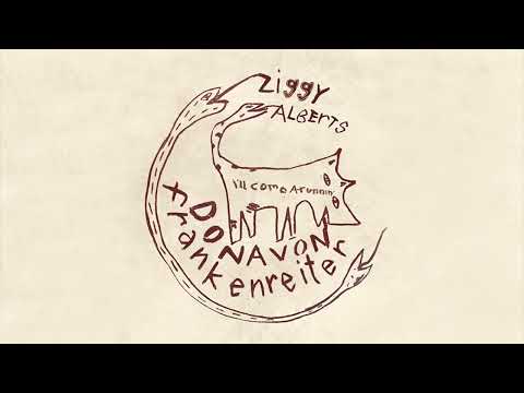 Donavon Frankenreiter, Ziggy Alberts - I'll Come A-Runnin' - with Ziggy Alberts