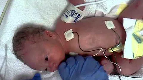 Bodhi James Derr