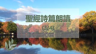 聖經詩篇朗讀3 (詩篇79-115) | 和合本| 跟讀、默想、禱告、入眠、工作閒暇，運動，做家務，帶孩子隨時聽| 90分鐘| Chinese Bible Reading Psalms 79-115