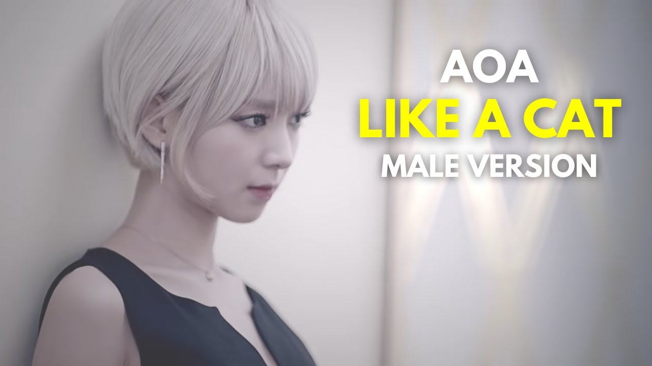 AOA - LIKE A CAT (MALE VERSION) - YouTube