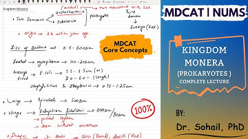 MDCAT | Kingdom Monera | Prokaryotes | Bacteria