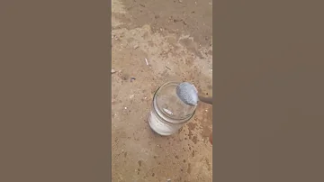 سكر حلوة الدنيا سكر 