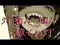 Tomoshibai – 灯喰イ｜Shamisen × Taiko × Dark Festival EDM