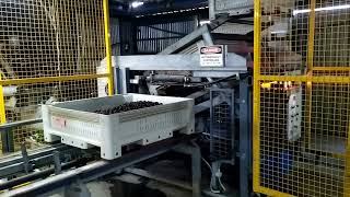 Cherry Grader - Bin Tipper & Stacker