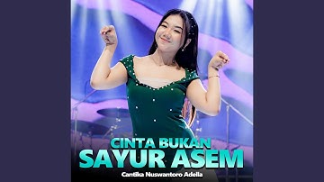 Cinta Bukan Sayur Asem