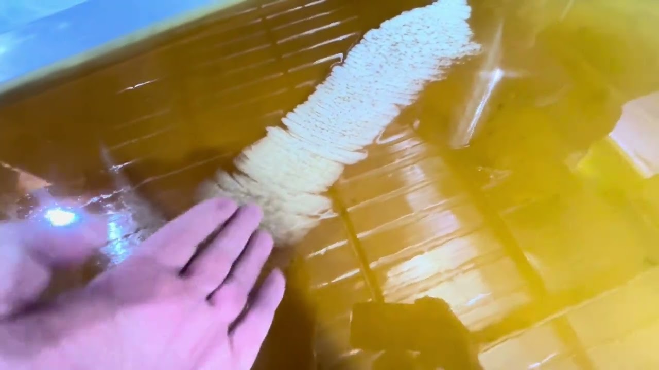 طرد الرطوبة من العسل